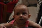 4443